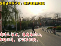 华州区柳枝镇张桥村：我家住在景区里