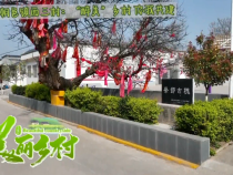 大荔县朝邑镇西三村：“醉美”乡村 你我共建