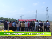 “积水区玉米增密度提单产”技术培训现场会召开
