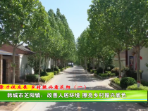 韩城市芝阳镇：改善人居环境 擦亮乡村振兴底色