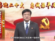 喜迎二十大 忠诚保平安｜临渭区委常委 政法委书记杨宇英做出庄严承诺