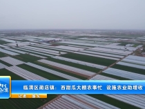 临渭区蔺店镇：西甜瓜大棚农事忙  设施农业助增收