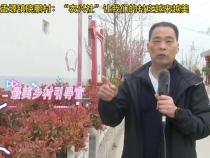 华阴市孟塬镇晓鹏村：“农兴社”让我们的村庄越来越美
