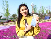 渭南福彩带您品“花满堂” 赏春天美景