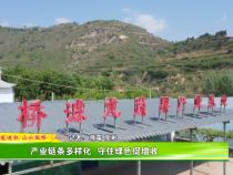 奋发进取 山水板桥（一）  产业链条多样化 守住绿色促增收
