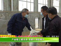 打造奶山羊特色小镇 唱响生态刘集主旋律（一）产业链上建支部 党建引领促振兴