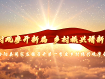 合阳县同家庄镇：逐村观摩开新局 乡村振兴谱新篇