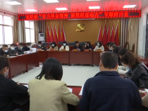 龙阳镇：学习“两会”精神  “三套拳法”造福群众