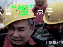 致富“馊”点子（上） 致富一定走正道 “馊”点子害人要不得 农用车载人隐患大 农民朋友要牢记