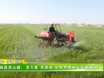 蒲城县尧山镇：多方案 多渠道 促使旱塬地实现粮食丰产