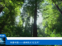 【渭南科普】森林防火“红五月”