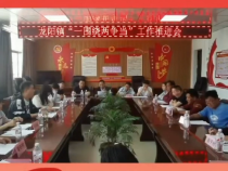 蒲城县龙阳镇召开“一围绕两争先”主题党建活动