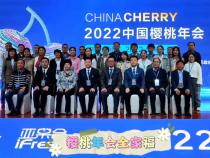 2022中国樱桃年会在澄城县开幕