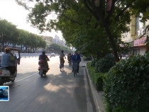 不文明交通行为大盘点  您“中了”吗