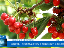 【渭南科技】陕西润强：科技创新品质领先 争做国家农业科技园区排头兵