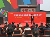 蒲城县孙镇东陈幸福云邦2022年第一届桑葚文化采摘节开幕