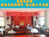 蒲城县孙镇：座谈交流促提升 凝心聚力共发展