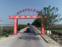 蒲城龙池镇西甜瓜新鲜上市 等您尝鲜！