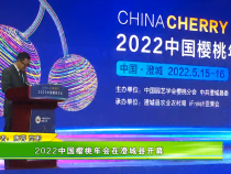 2022中国樱桃年会在澄城县开幕