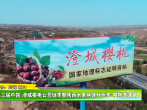 第三届中国•澄城樱桃云营销季暨陕西水果网络特色季•樱桃季开幕