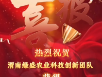 渭南绿盛：踔厉笃行心向党 奖章激励促奋进