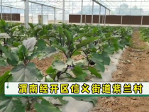渭南经开区信义街道：产业发展示范很关键