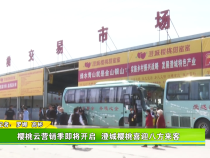 樱桃云营销季即将开启 澄城樱桃喜迎八方来客
