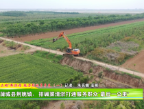蒲城县荆姚镇：排碱渠清淤打通服务群众“最后一公里”