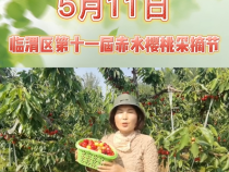 赤水樱桃熟了！5月11日一起相约赤水村！