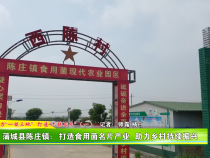 蒲城县陈庄镇：打造食用菌名片产业 助力乡村持续振兴