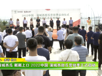 蒲城西瓜 瓤瓤上口 2022中国·蒲城西甜瓜营销季正式启动