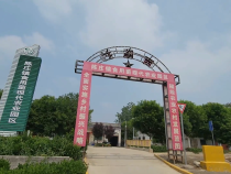与“菌”相伴 健康永伴——蒲城县陈庄镇西陈村食用菌等您采摘