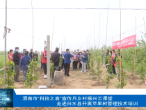 【渭南科普】渭南市“科技之春”宣传月乡村振兴云课堂走进白水县开展苹果树管理技术培训