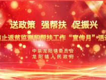 蒲城县龙阳镇开展防止返贫监测和帮扶工作“宣传月”活动