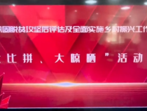 蒲城兴镇开展乡村振兴资料大比拼