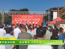 富平县淡村镇：就业集会 让群众家门口就业不再难