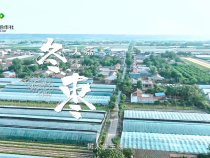 【渭南水果 甜蜜之约】渭南供销特色农产品（水果）品牌云端推广季           ————大荔 冬枣