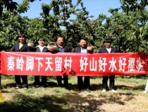 6月1日振兴乡村美好临渭
