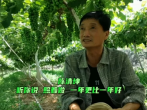 【我和天福樱花的故事第二季】陈清坤：听你说 照着做 一年更比一年好