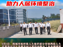 韩城市板桥镇：凝聚人大代表力量 助力人居环境整治