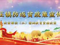 蒲城县陈庄镇防返贫政策宣传月政策解读——教育资助政策