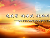 蒲城县陈庄镇防返贫政策宣传口诀歌
