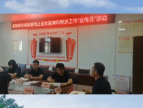 “送政策 强帮扶 促振兴” 蒲城县龙阳镇开展防止返贫监测和帮扶工作“宣传月”活动