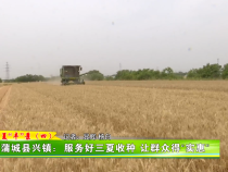 蒲城县兴镇：服务好三夏收种 让群众得“实惠”