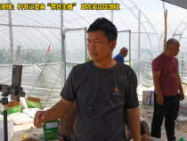 蒲城县龙阳镇：村书记变身“带货主播” 助农卖瓜促增收
