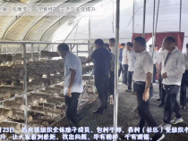 合阳县百良镇：观摩学习“寻真经” 交流互鉴促提升