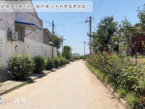蒲城县荆姚镇：改善农村人居环境 让乡村更美更宜居