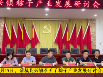 蒲城县兴镇召开粽子产业发展研讨会