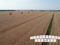 三夏麦收绿色高质高效成亮点