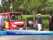 这些不文明行为令公园美景失色